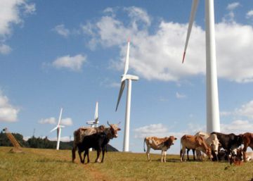 Pastor masái cerca de molinos de viento en Ngong (Kenia).