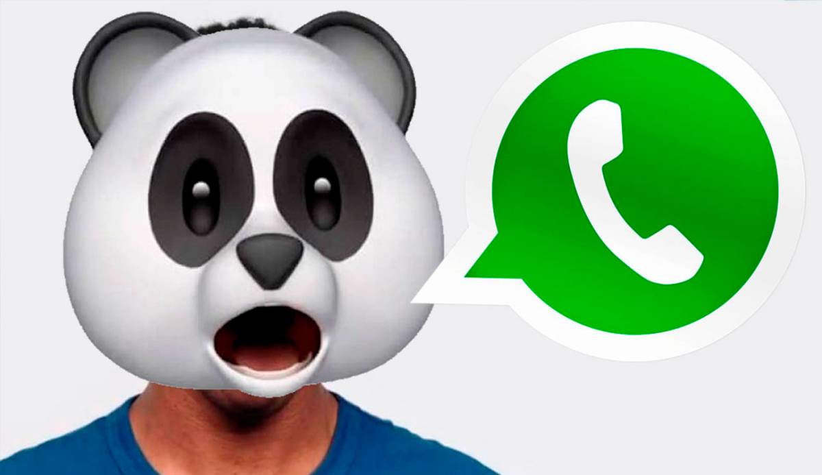 WhatsApp: confirmación de app para iPad y compatibilidad con Memojis en iOS 13