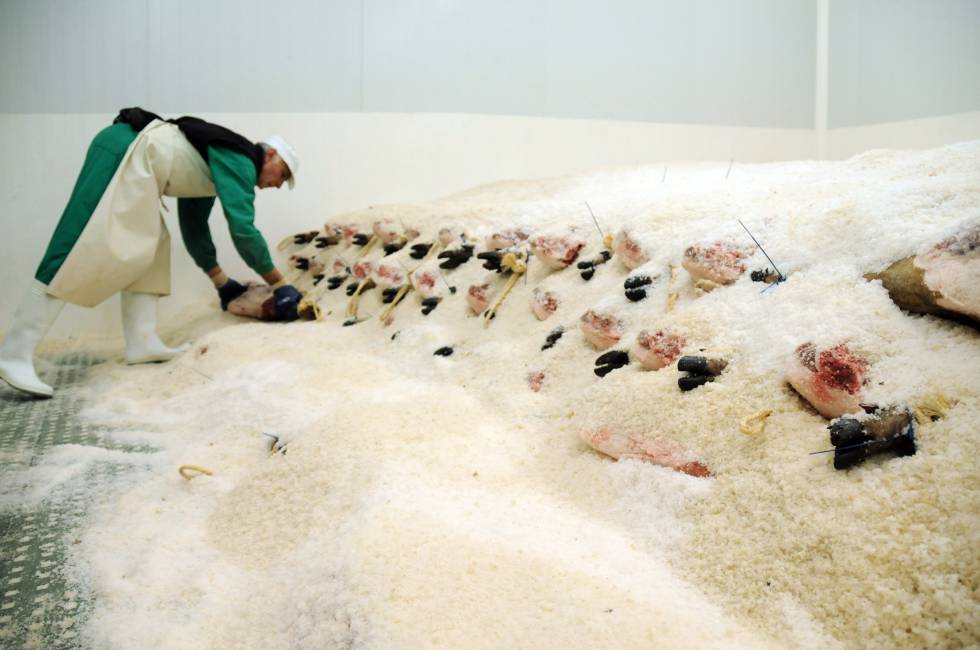 Jamones en salazón en la fábrica de Zalamea la Real.