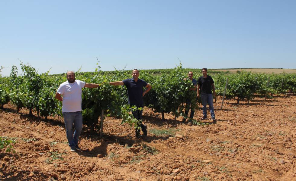 Bodega Pardevalles