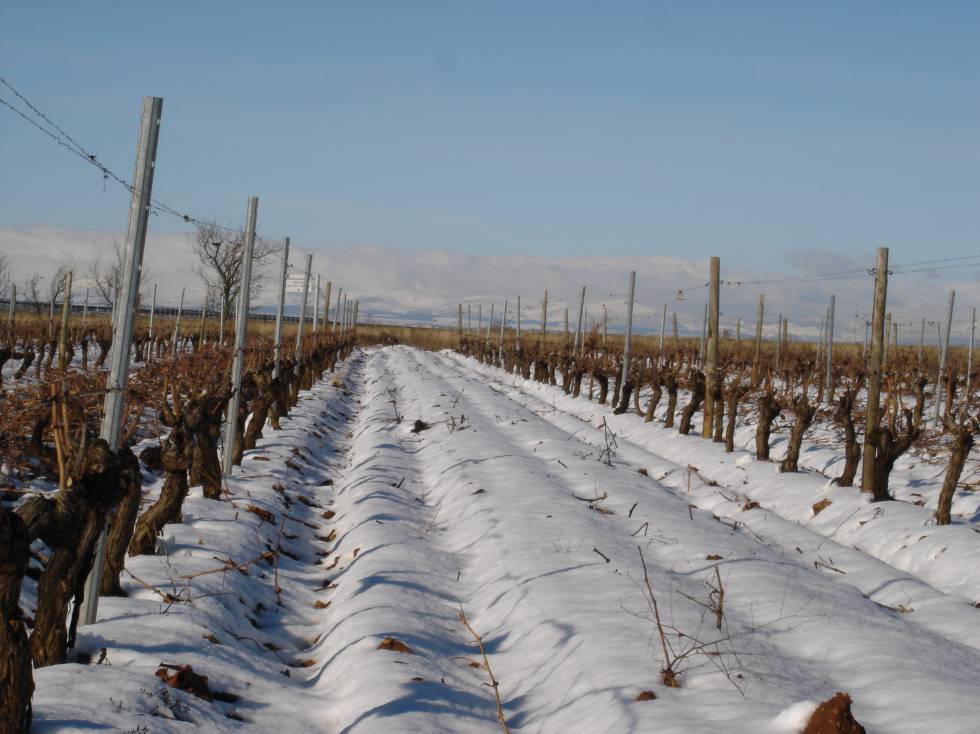 Bodega Pardevalles