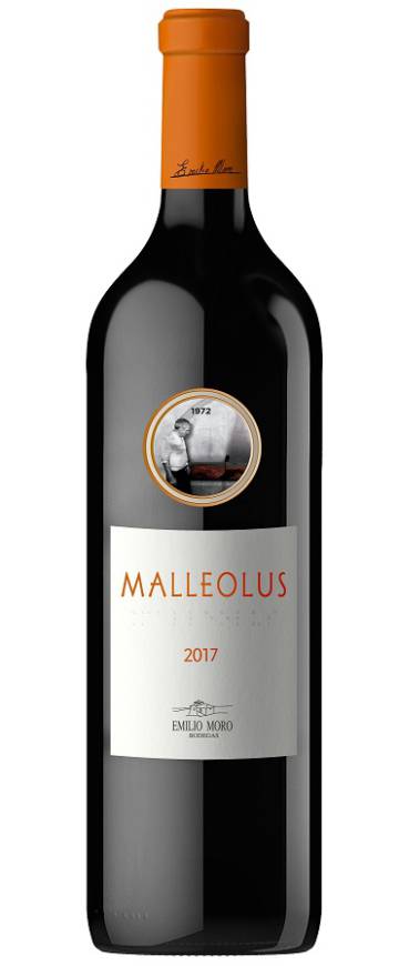 Malleolus