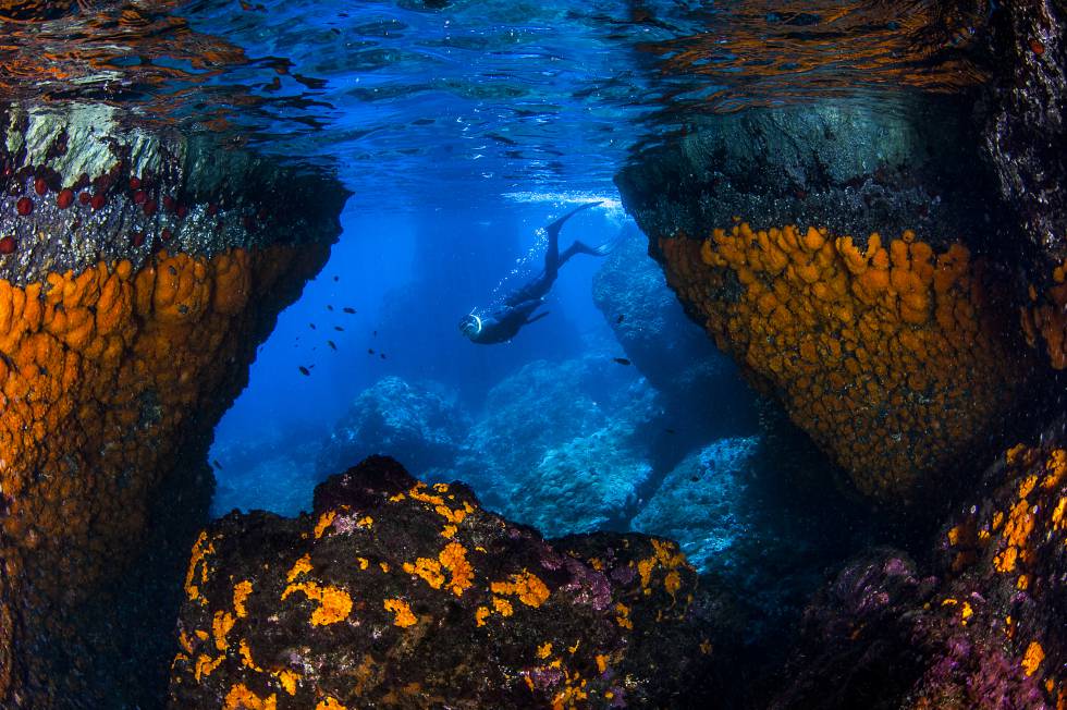 Buceo Málaga