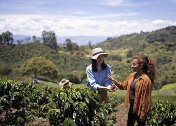 Cultivando oportunidades Cultivando oportunidades