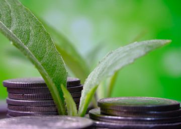 Las finanzas sostenibles, un nuevo nicho de asesoramiento