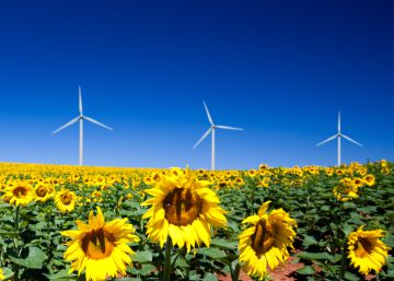 Una transición energética que
incluya a todos