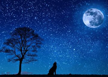 Ya puedes usar la astrofotografía de los Pixel con tu móvil y Google Fotos