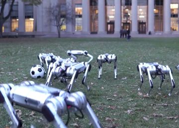 El futuro de las mascotas robóticas ya está aquí: así juegan juntas en el parque