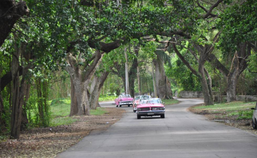 La Habana