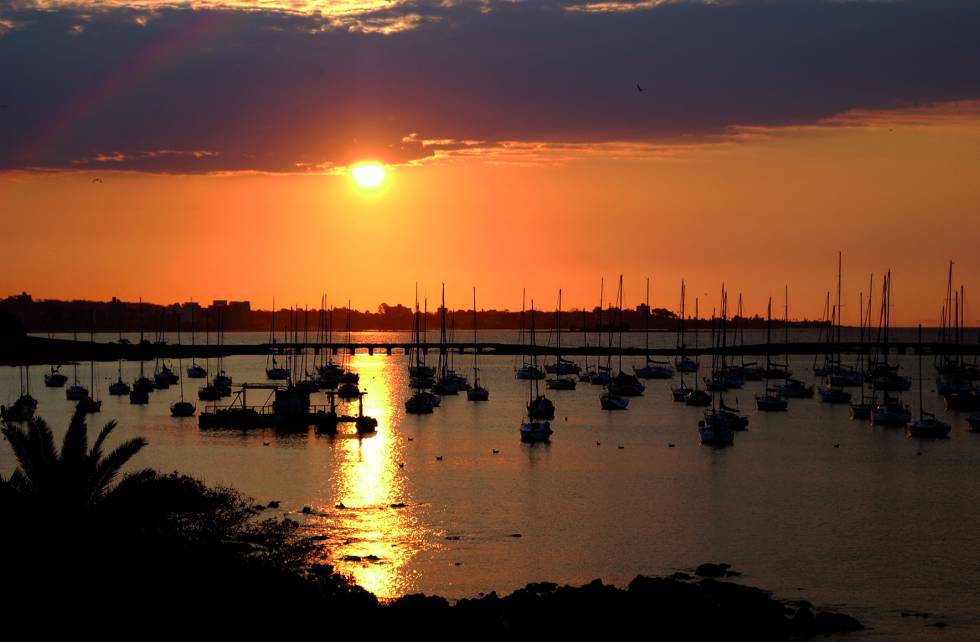 Puerto del Buceo (Montevideo)