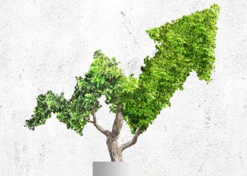 La banca, cada vez más verde que te quiero verde La banca, cada vez más verde que te quiero verde