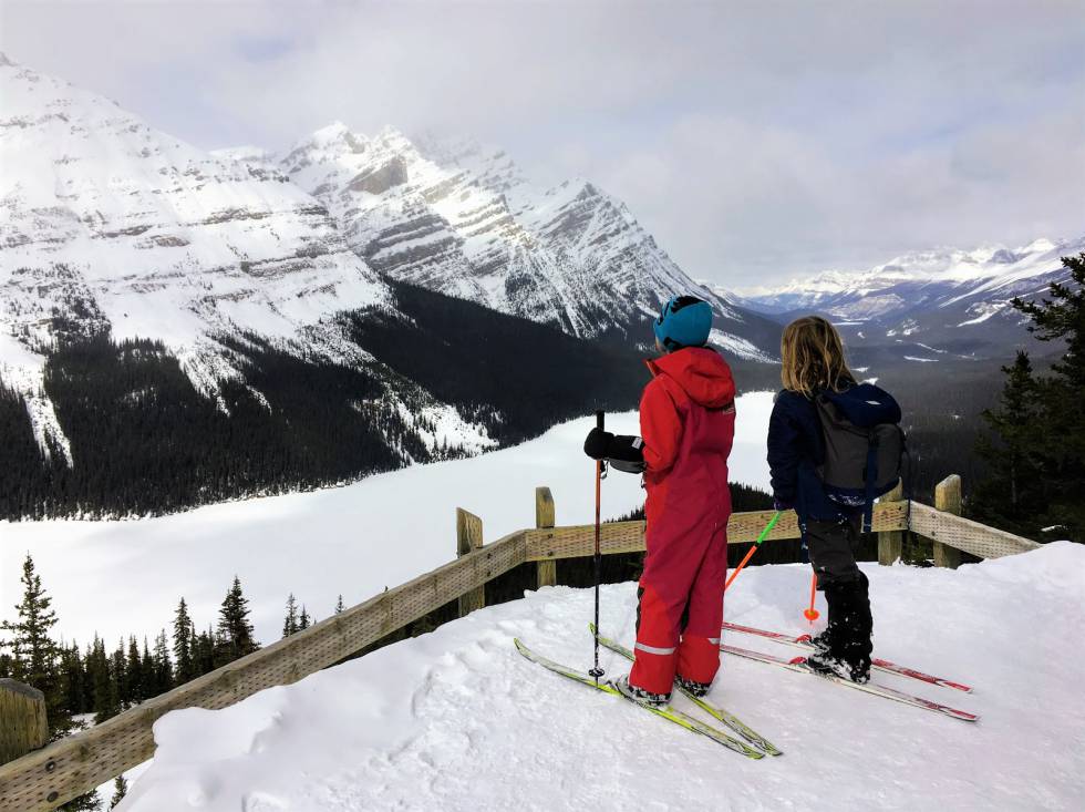 Lago Peyto (Canadá)
