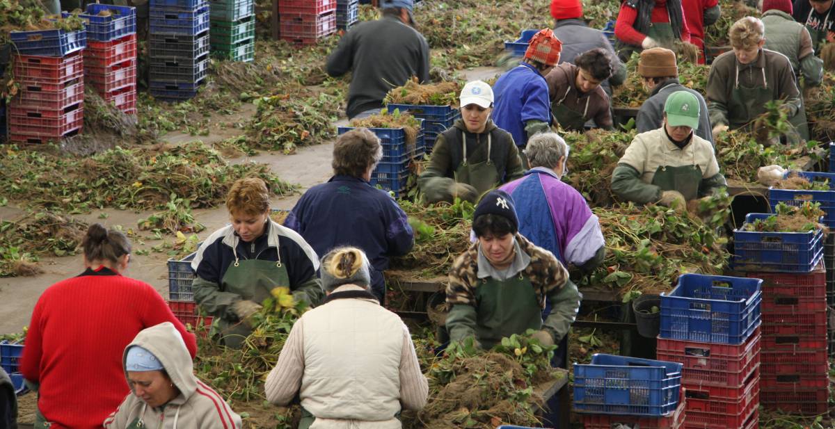 Un trabajo de menos de 1.000 euros no es un empleo
