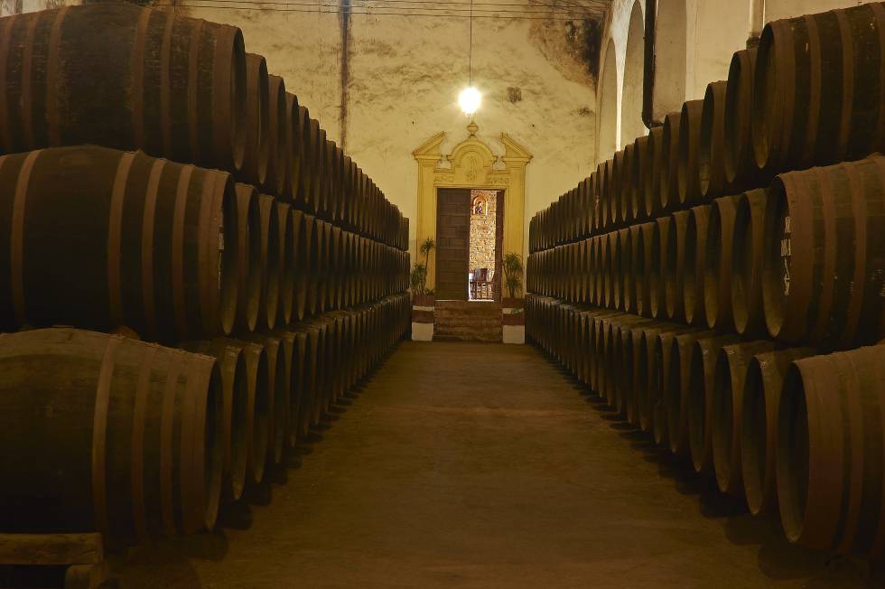 Vino Montilla-Moriles