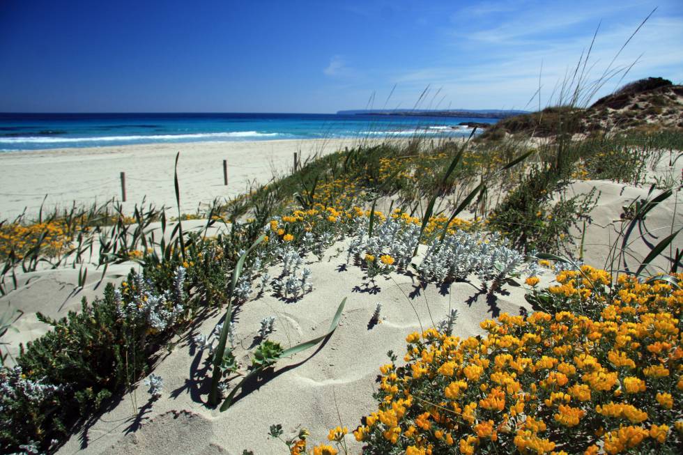 Turismo de Formentera