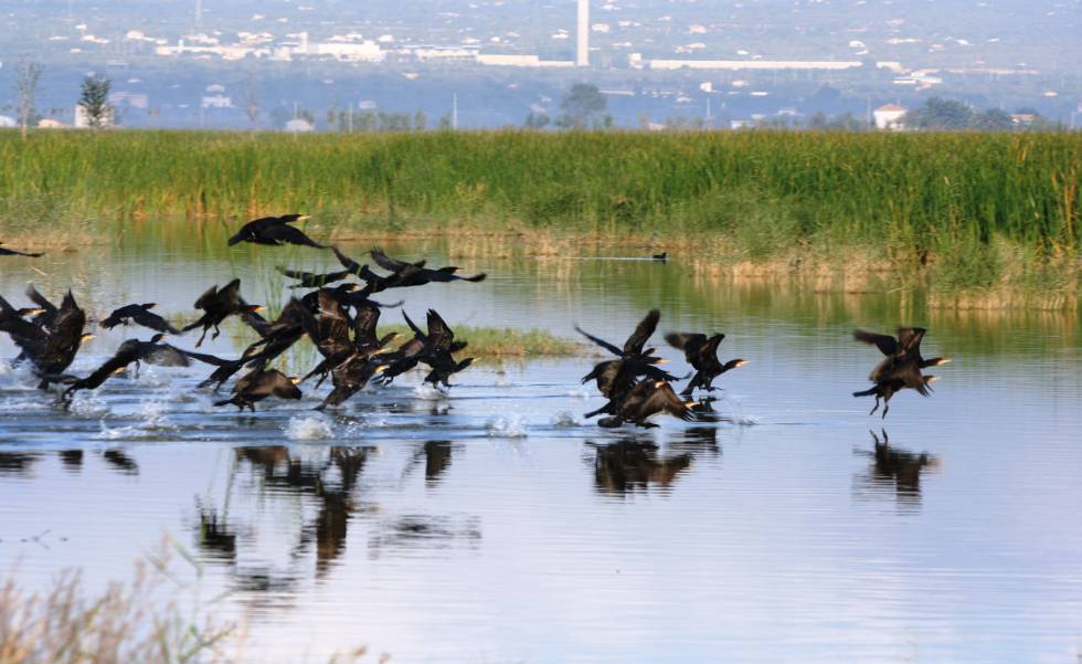 Delta del Ebro
