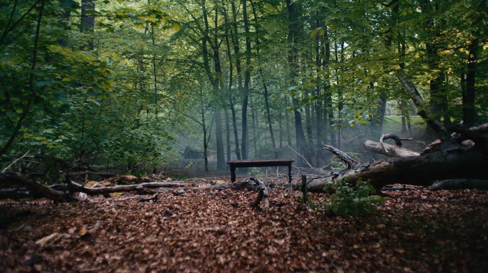 Acuerdo Velux WWF bosques