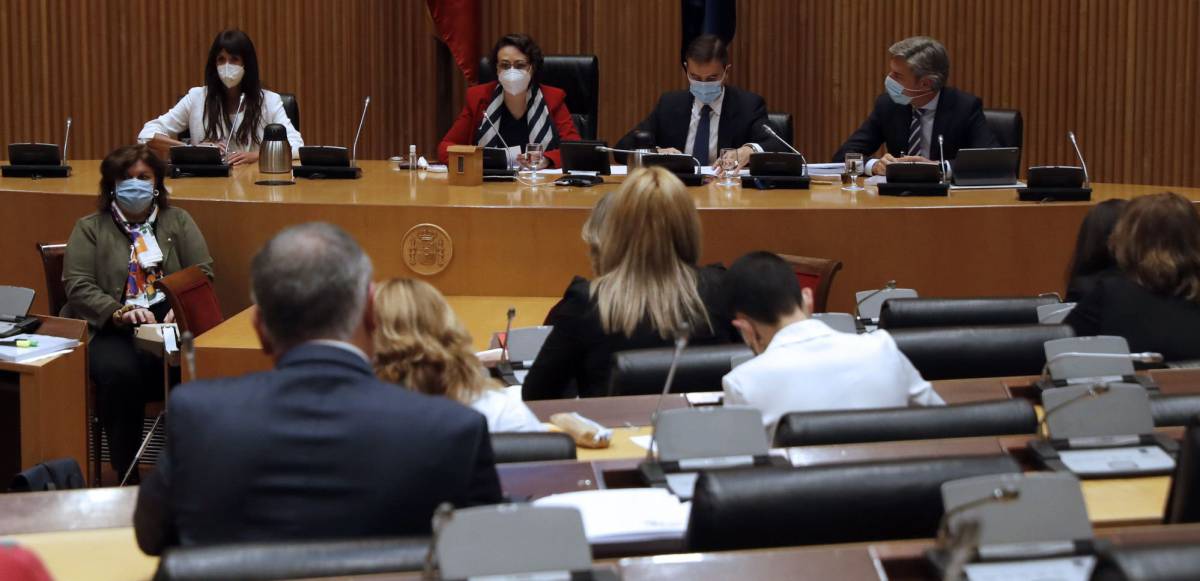 La diputada socialista y presidenta de la Comisión de Seguimiento y Evaluación de los Acuerdos del Pacto de Toledo, Magdalena Valerio (2i), durante la reunión de dicha comisión que aprueba hoy su