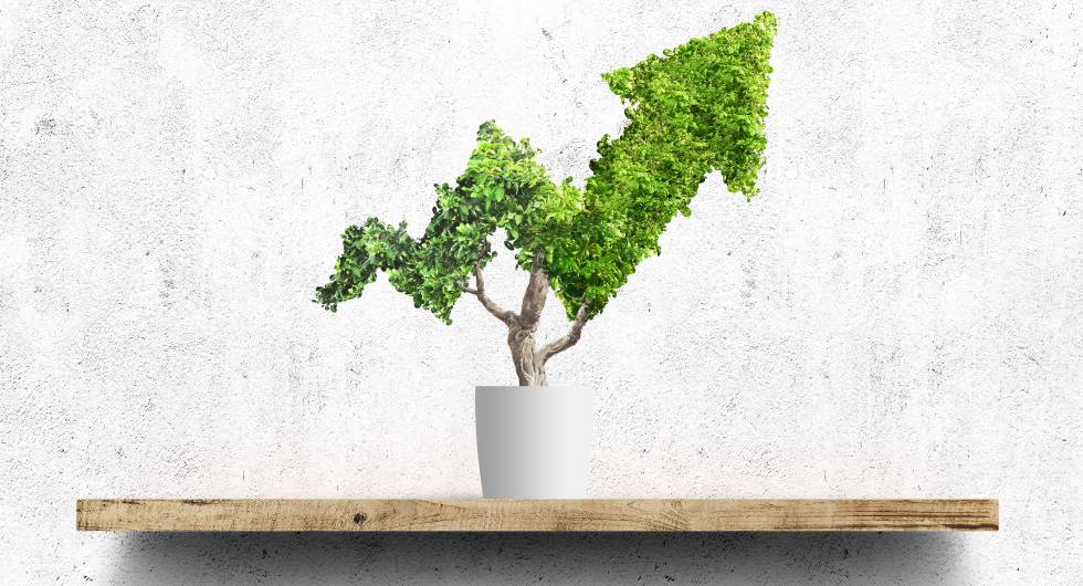 Las mejores estrategias para el medioambiente y el cliente