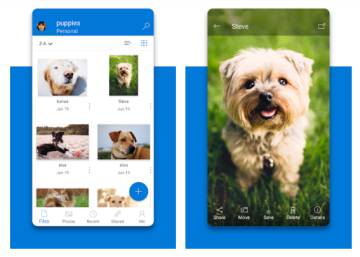 Mejores alternativas de Google Fotos, que dejará de ser gratuito próximamente