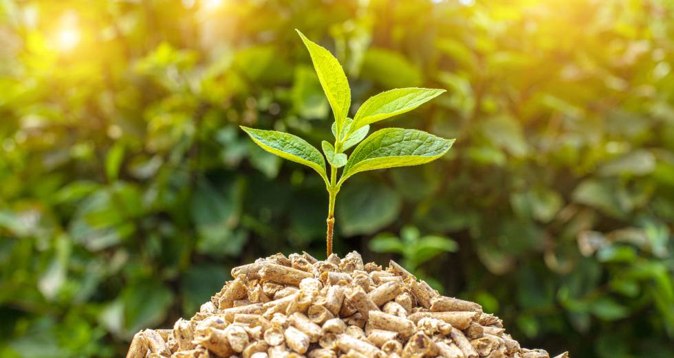 405 MW para potenciar el crecimiento en renovables