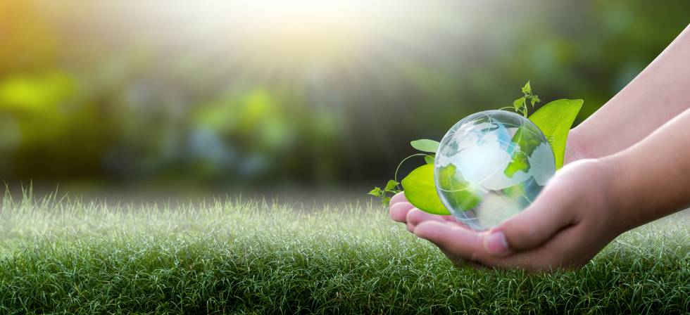 405 MW para potenciar el crecimiento en renovables