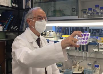 BioNTech y CSIC sondean el desarrollo conjunto de una vacuna española del Covid-19 BioNTech y CSIC sondean el desarrollo conjunto de una vacuna española del Covid-19