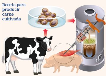 ¿Cómo nos alimentaremos en 10 años? Los cambios que están por llegar a nuestro estómago ¿Cómo nos alimentaremos en 10 años? Los cambios que están por llegar a nuestro estómago