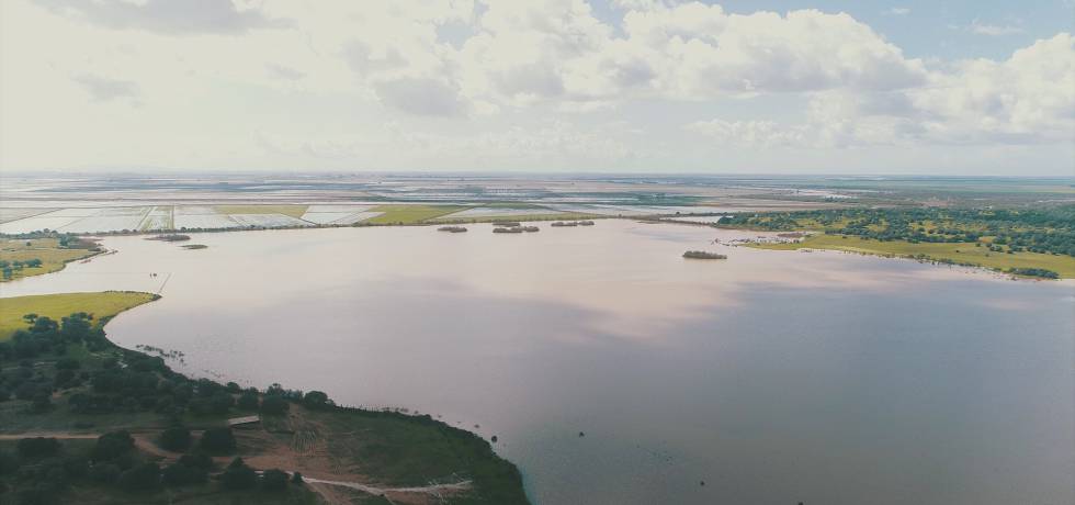Imagen del proyecto Doñana, desarrollado por Heineken España.