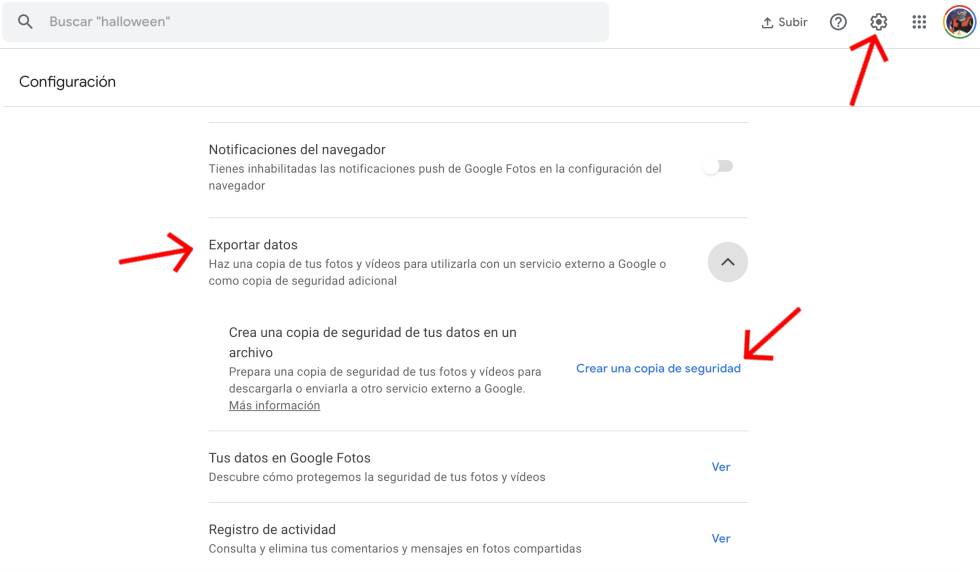 Crea un backup de tus fotos.