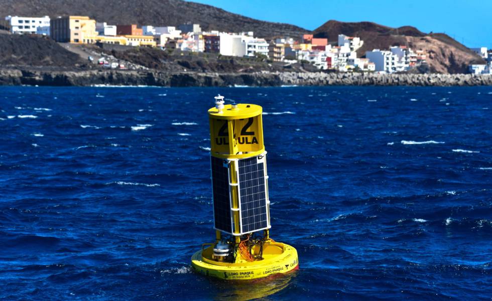 La contaminación acústica silencia
el fondo marino