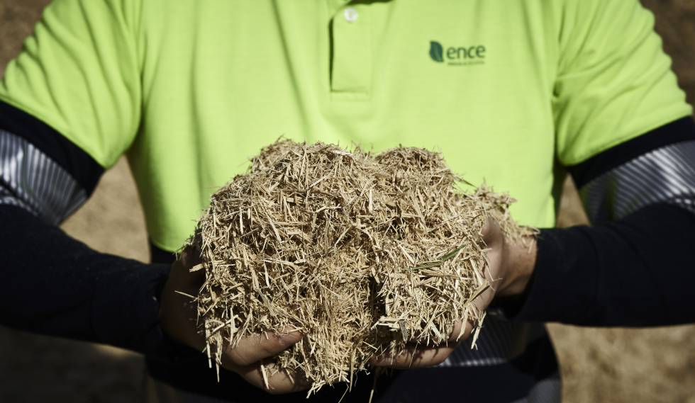 Ence, recuperación verde para superar la crisis