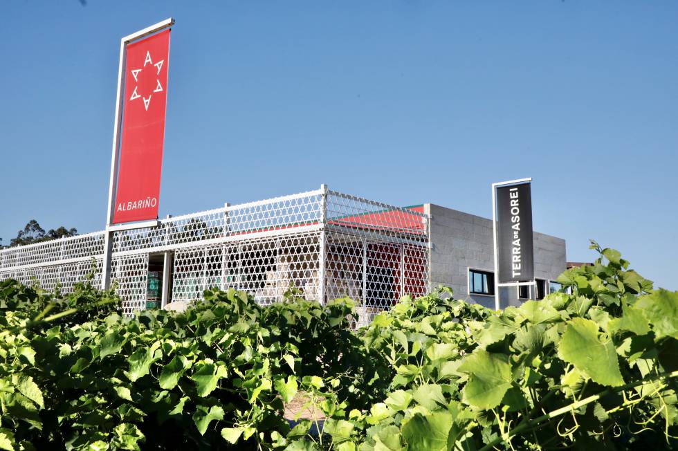 Bodega Terra de Ansorei