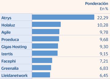 Dos valores acaparan el 33% del peso de la Bolsa de pymes españolas Dos valores acaparan el 33% del peso de la Bolsa de pymes españolas