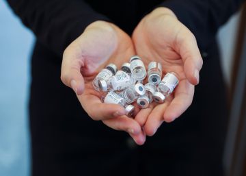 El éxito de las vacunas del Covid-19 cierra el paso a otros laboratorios El éxito de las vacunas del Covid-19 cierra el paso a otros laboratorios