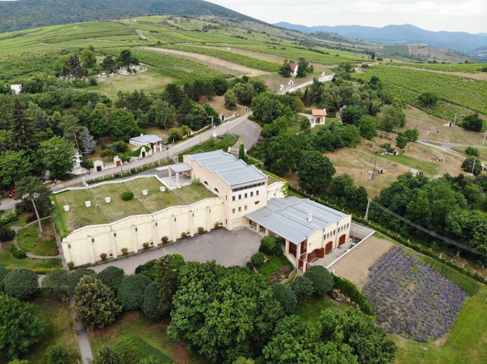Vega Sicilia abre camino en Hungría al vino blanco seco