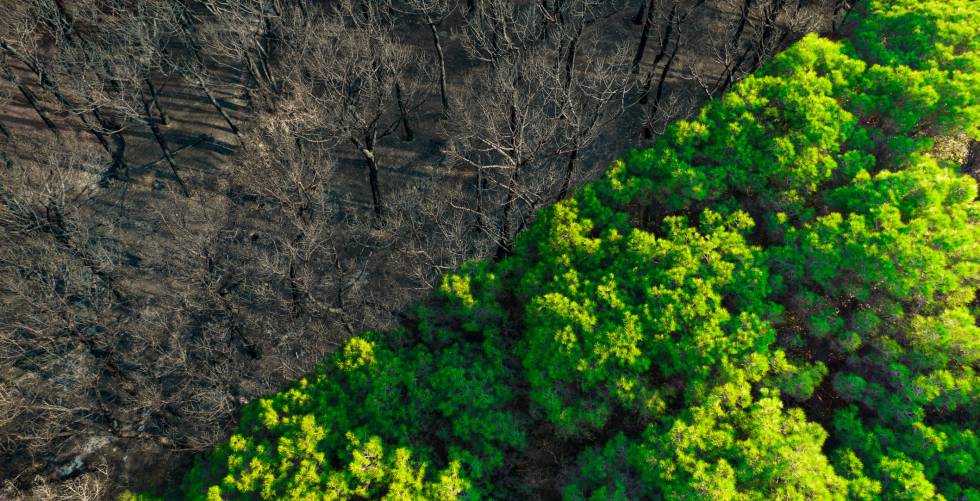 La ley climática, un avance aún por desarrollar