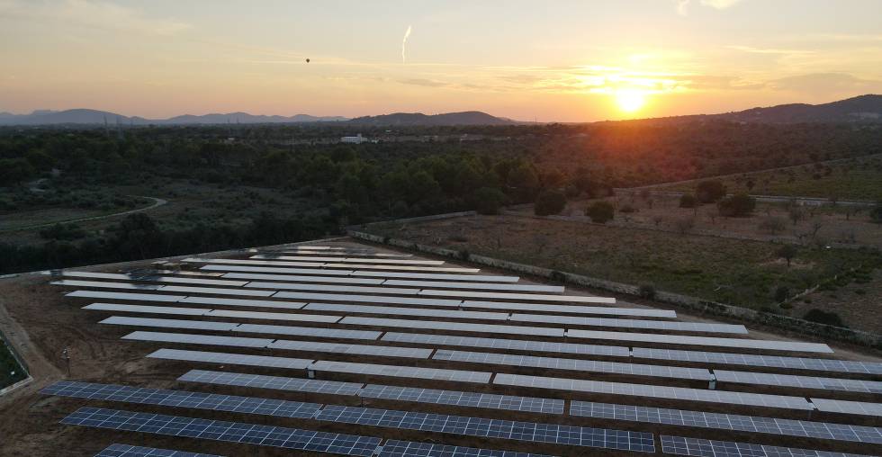 Endesa X ofrece a las empresas todas las herramientas para tener éxito en su proceso de descarbonización