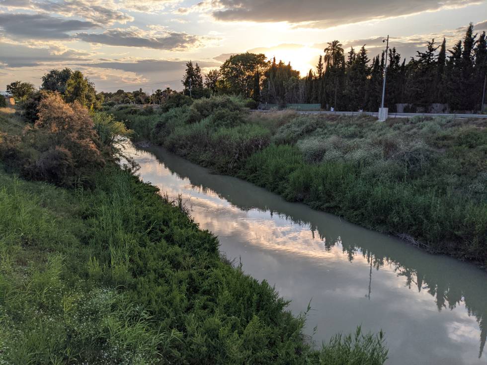 Río Murcia