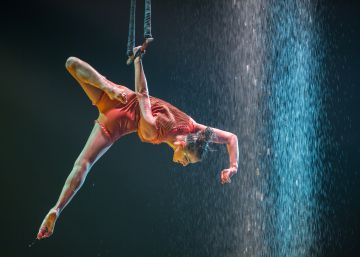 El mejor premio para la plantilla, una noche en el Cirque du Soleil El mejor premio para la plantilla, una noche en el Cirque du Soleil