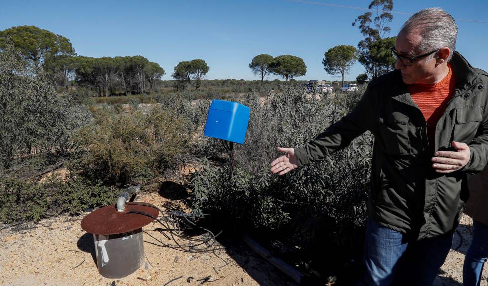 Pozos ilegales Guadalquivir Doñana