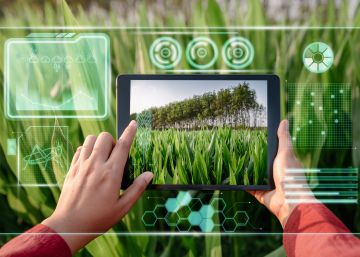 Una aplicación con tecnología
‘blockchain’ para optimizar los cultivos Una aplicación con tecnología
‘blockchain’ para optimizar los cultivos