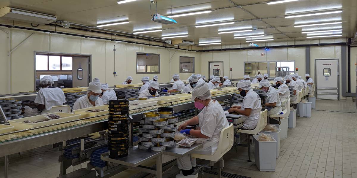 El 70% del personal de fábrica son mujeres.