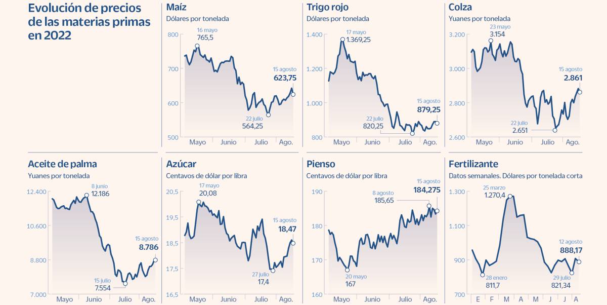 Los riesgos aún penden del precio de los alimentos pese al reciente alivio