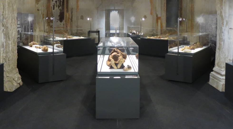 Museo de Momias de Quintos