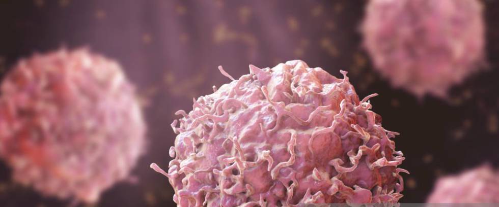 El camino que podría curar el cáncer