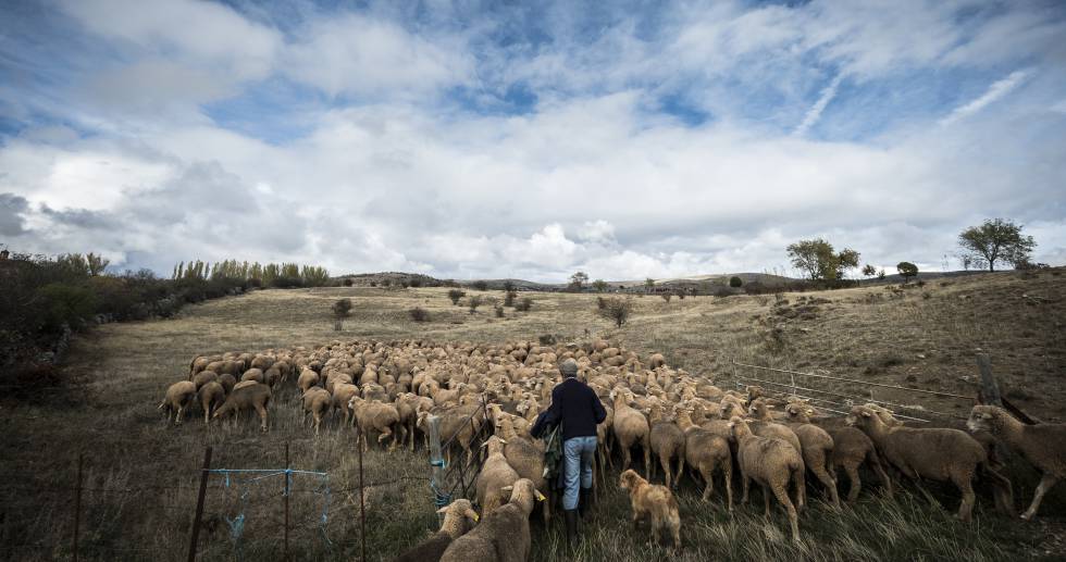 En la España rural, los residuos son oportunidades