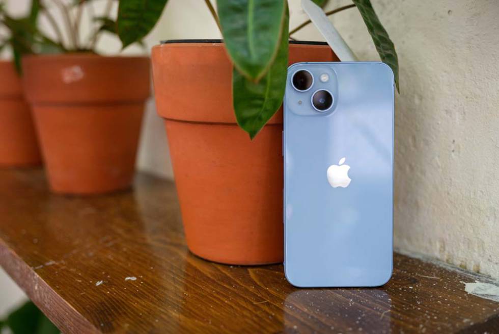 Trasera de un iPhone junto a una maceta