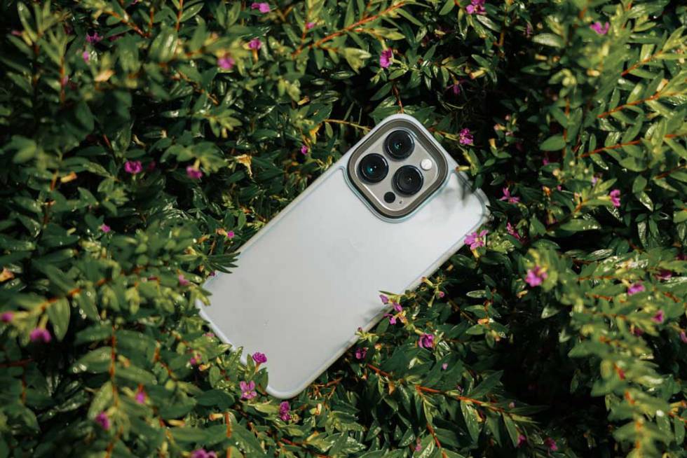 Teléfono iPhone 14 Pro entre plantas