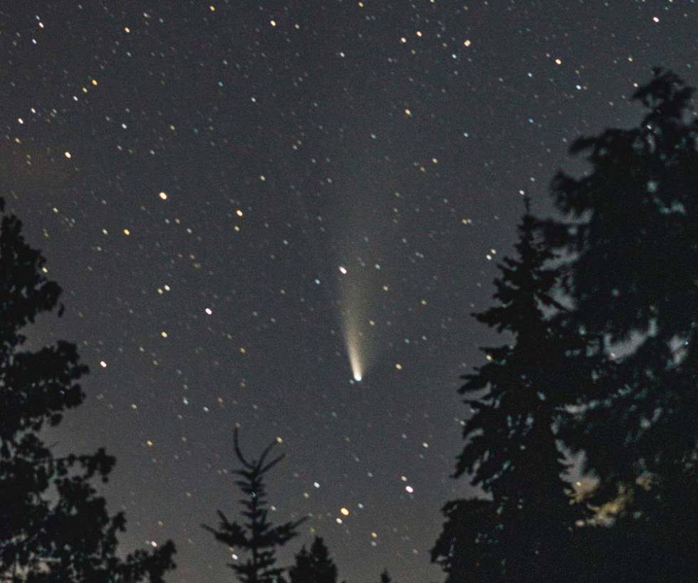Imagen de un cometa entre árboles